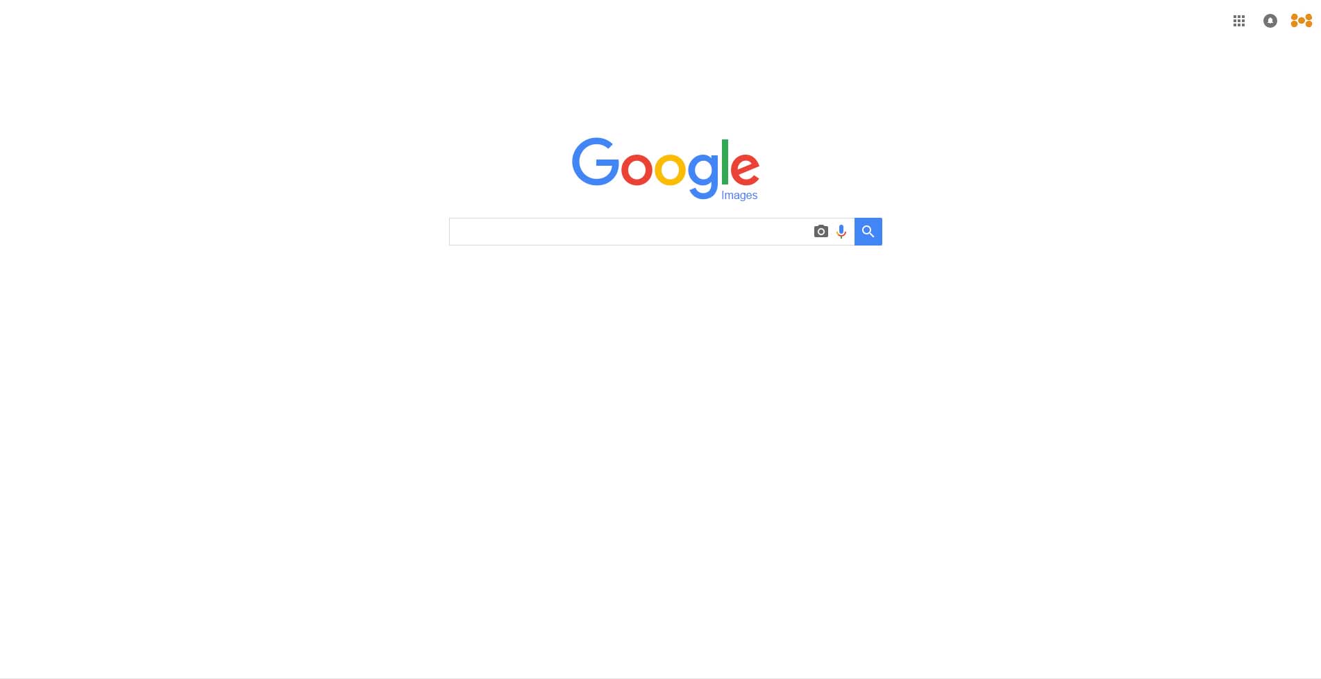 Google image search screen