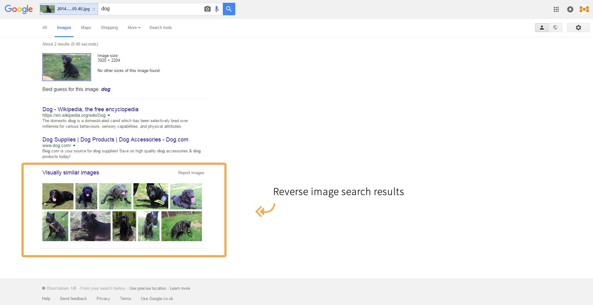 Reserve image search results