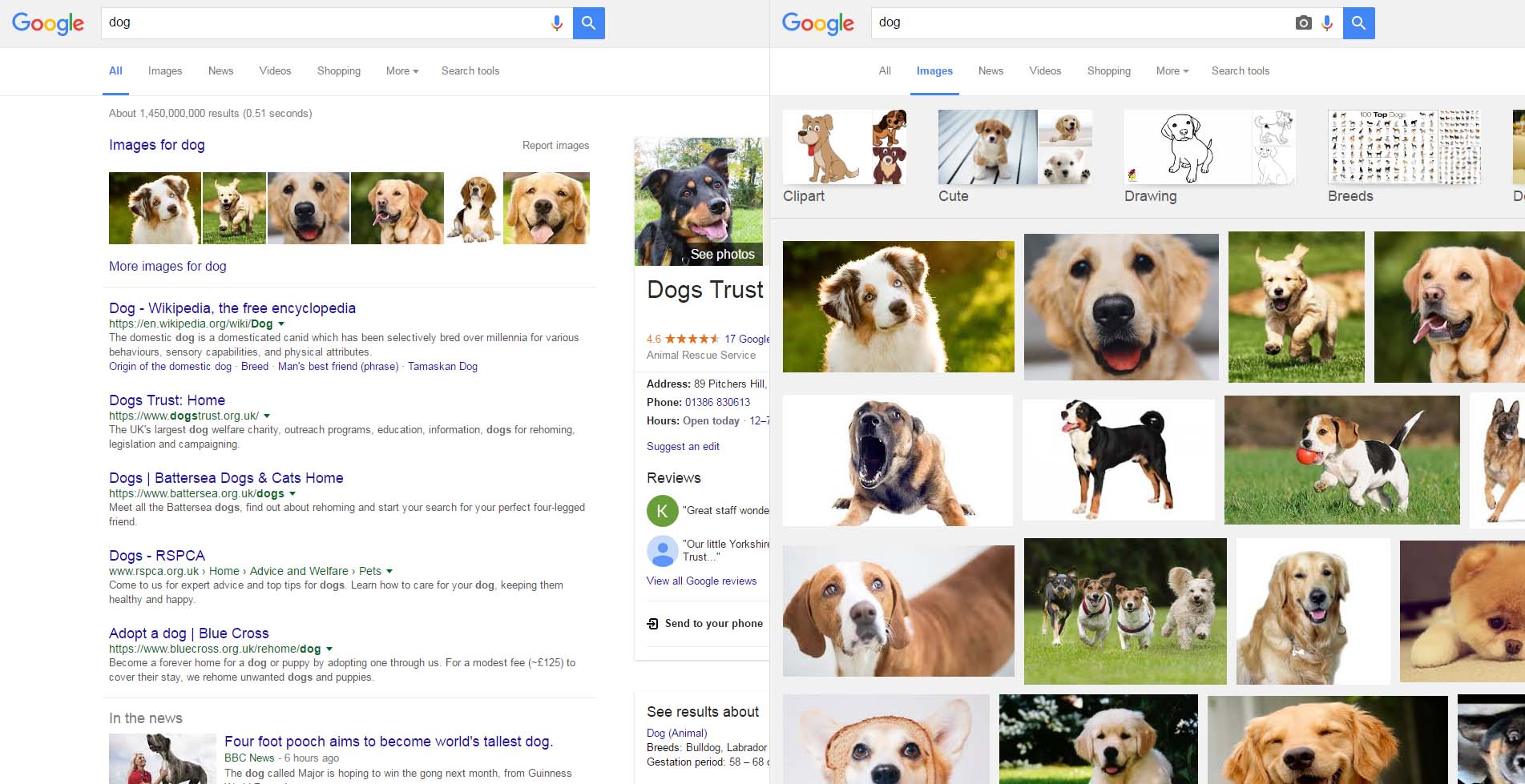 Google Image Search Results