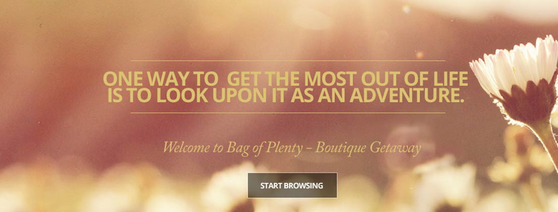 Bags of Plenty Brand Design