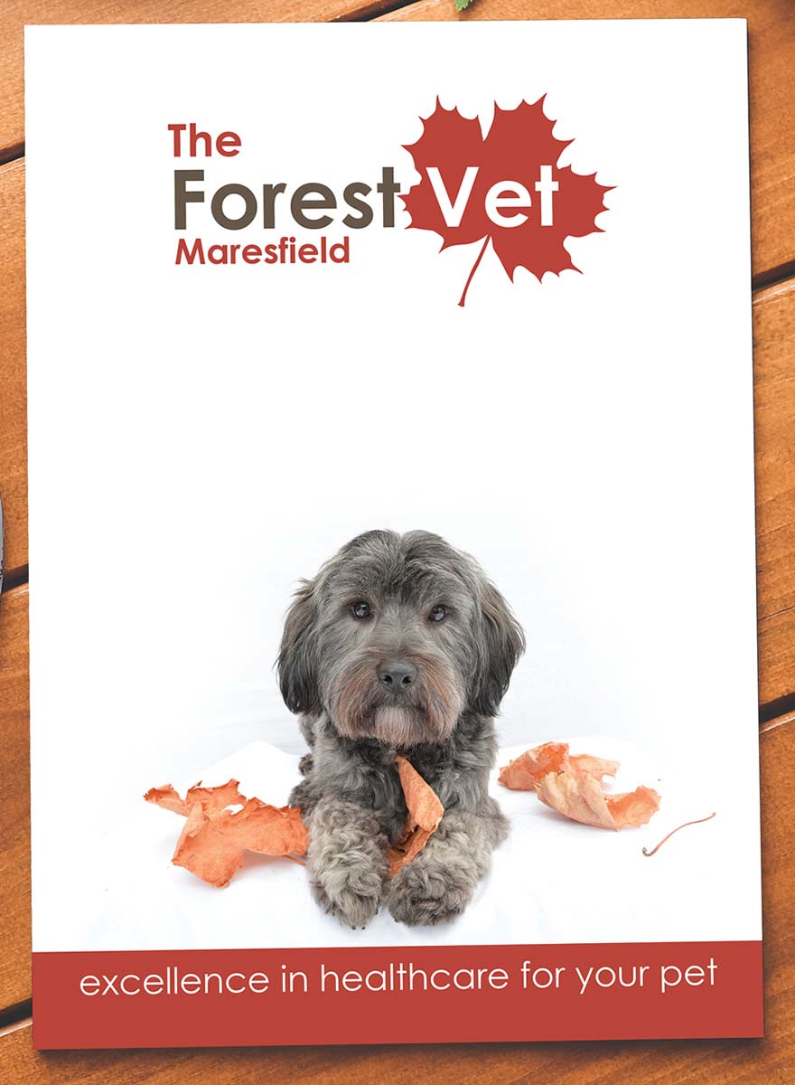 The Forest Vet Brochure