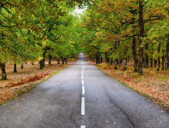 Island Roads specialisation