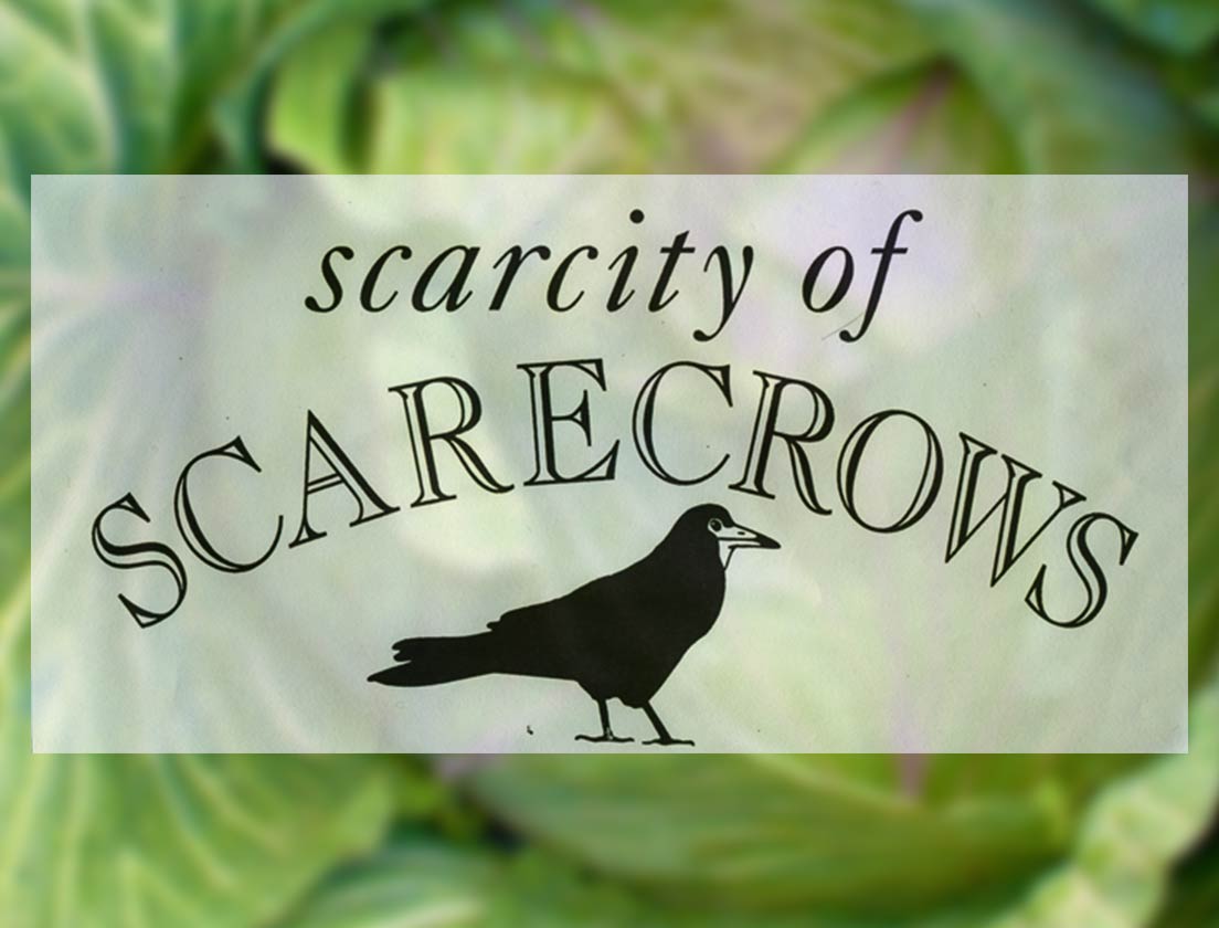 Scarcity of Scarecrows