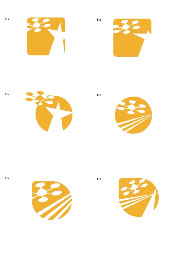 Skydrone Surveys Brand Design