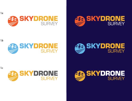 Skydrone Surveys Brand Design