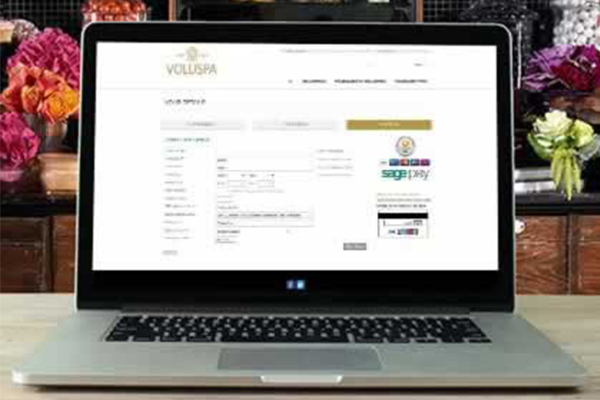 Ecommerce websites