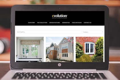 Project Image for Evolution Windows